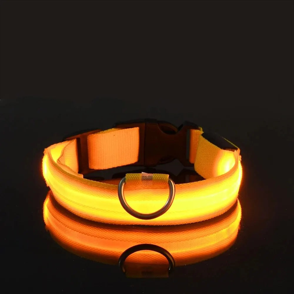 LED Glow-in-the-Dark Dog Leash & Collar for Night Safety