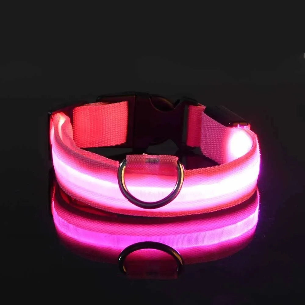 LED Glow-in-the-Dark Dog Leash & Collar for Night Safety