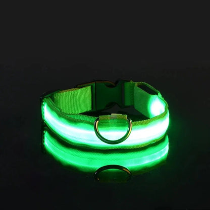 LED Glow-in-the-Dark Dog Leash & Collar for Night Safety