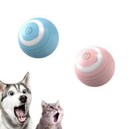 Smart Interactive Rolling Ball for Cats