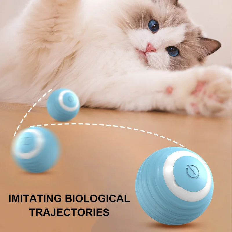 Smart Interactive Rolling Ball for Cats