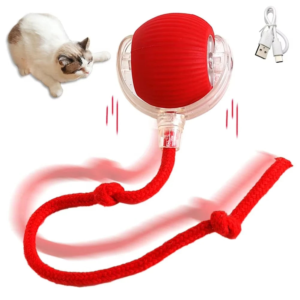 USB Rechargeable Interactive Rolling Ball for Cats