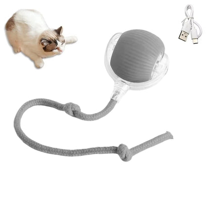 USB Rechargeable Interactive Rolling Ball for Cats