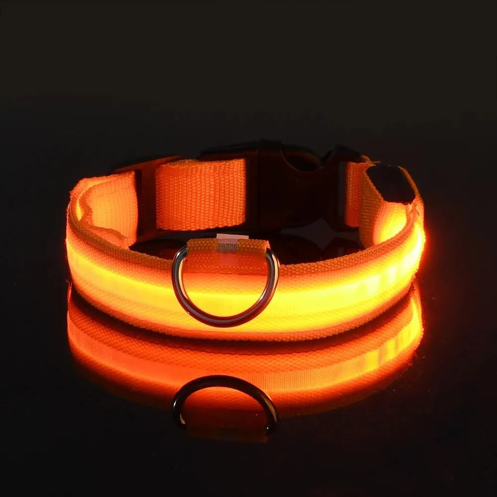 LED Glow-in-the-Dark Dog Leash & Collar for Night Safety