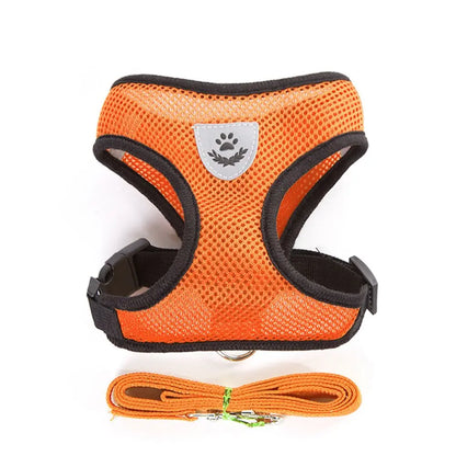 Breathable Mesh Pet Harness & Leash for Comfort & Control