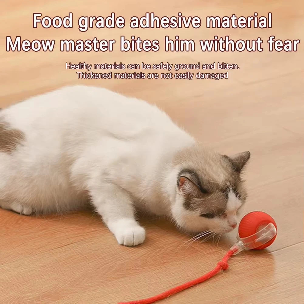 USB Rechargeable Interactive Rolling Ball for Cats