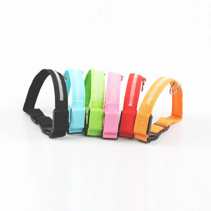 Rechargeable Glow-in-the-Dark Nylon Dog Collar