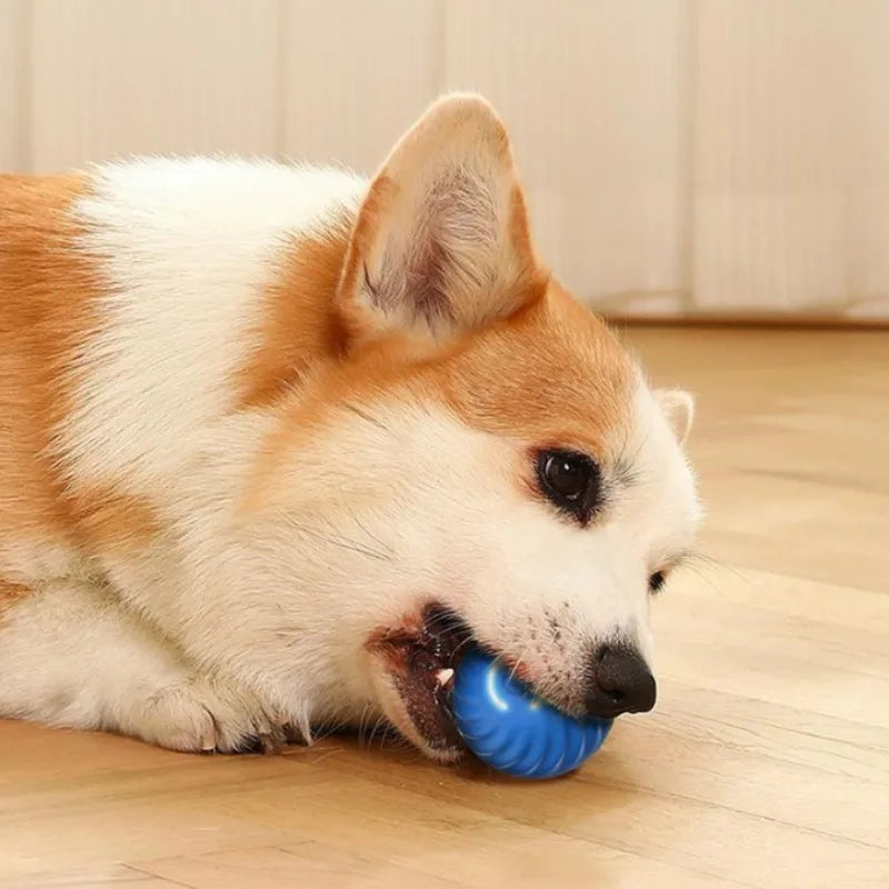 Smart Interactive Dog Toy Ball – USB Rechargeable