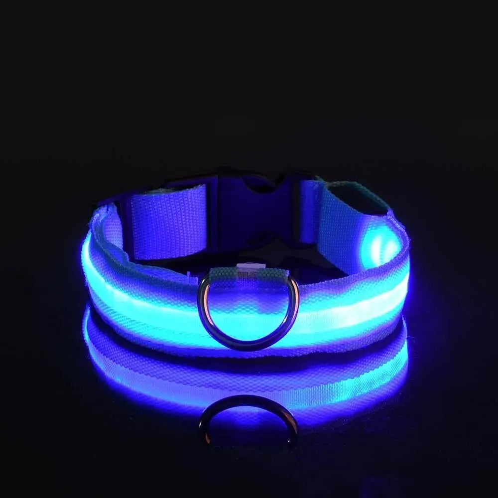 LED Glow-in-the-Dark Dog Leash & Collar for Night Safety