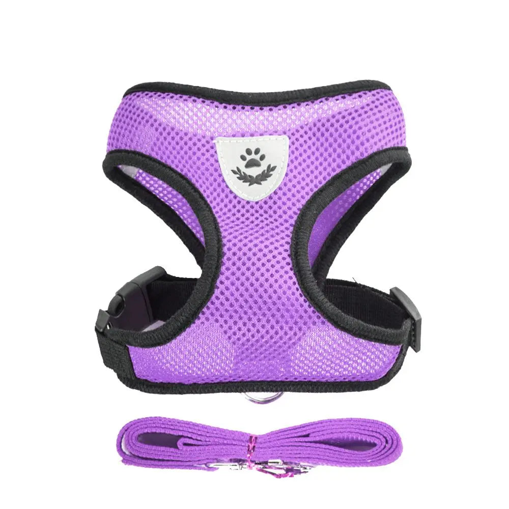 Breathable Mesh Pet Harness & Leash for Comfort & Control