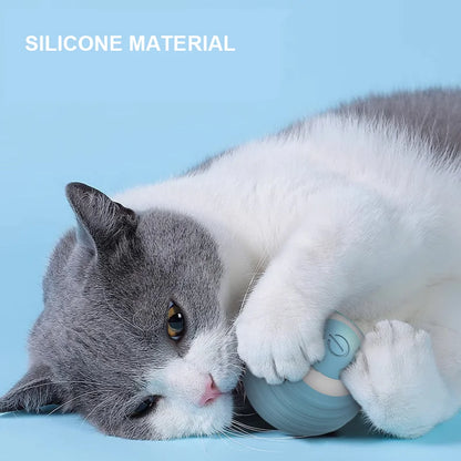 Smart Interactive Rolling Ball for Cats