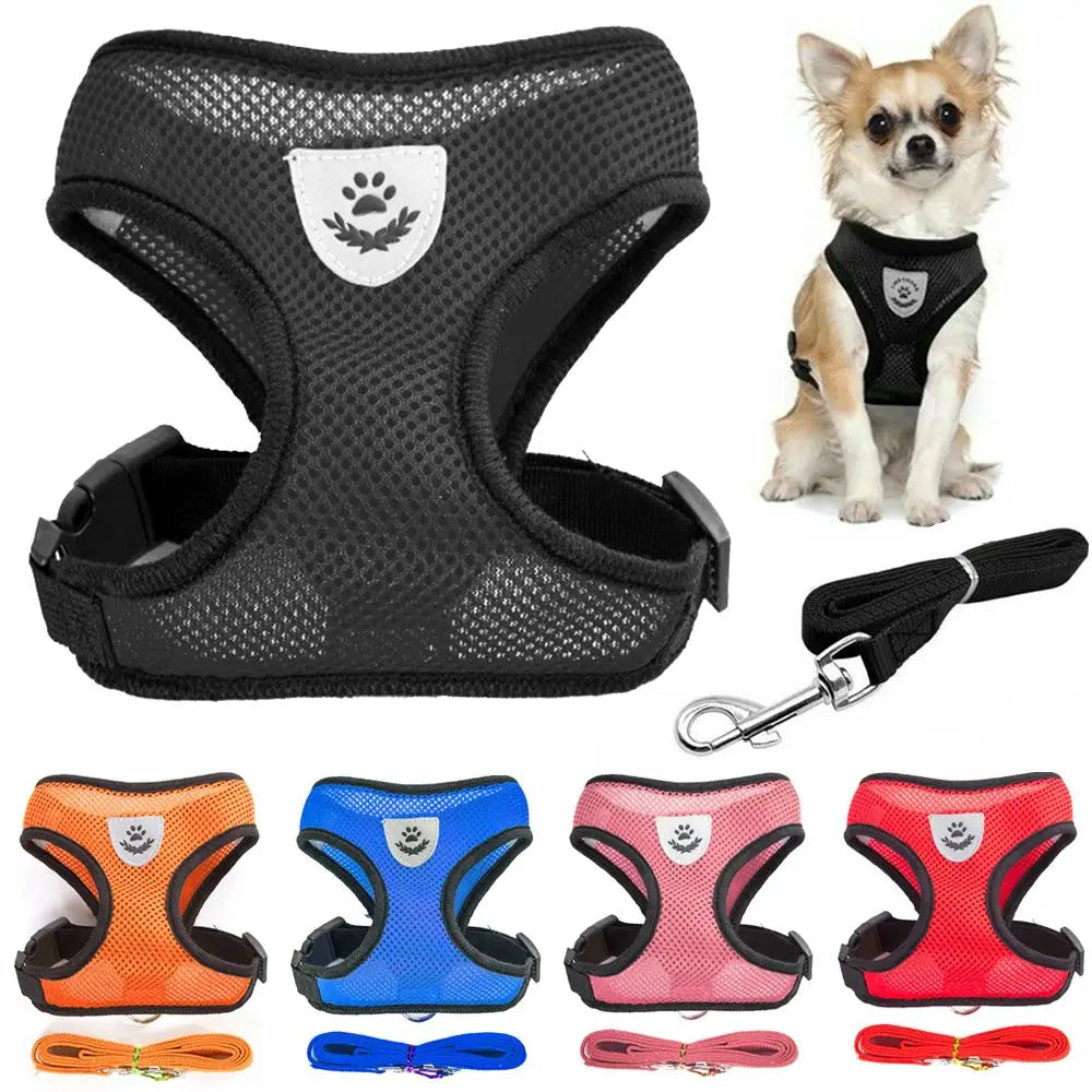 Breathable Mesh Pet Harness & Leash for Comfort & Control