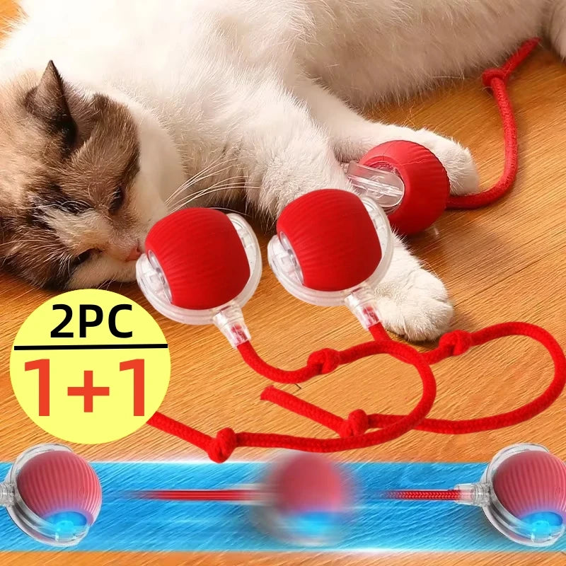 USB Rechargeable Interactive Rolling Ball for Cats