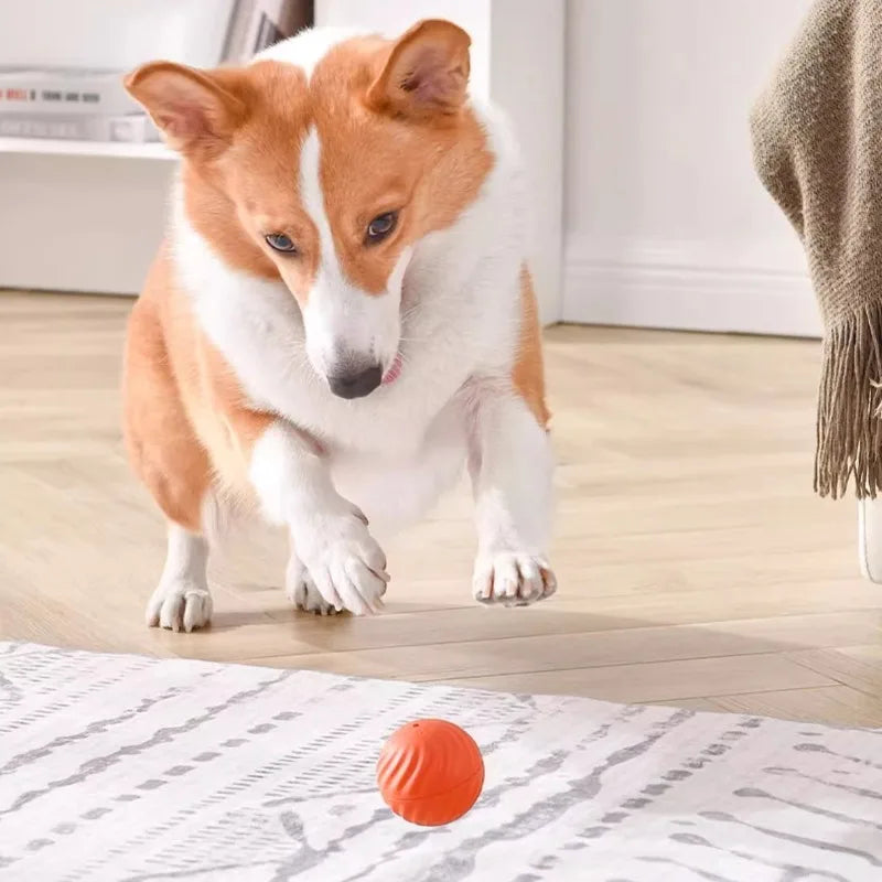 Smart Interactive Dog Toy Ball – USB Rechargeable