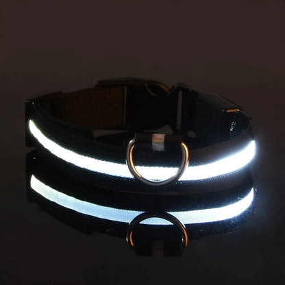 LED Glow-in-the-Dark Dog Leash & Collar for Night Safety