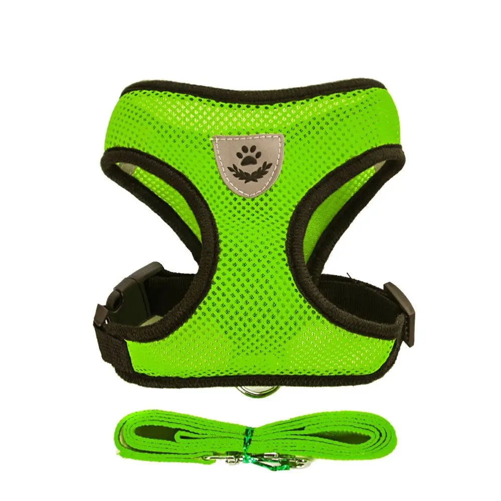 Breathable Mesh Pet Harness & Leash for Comfort & Control