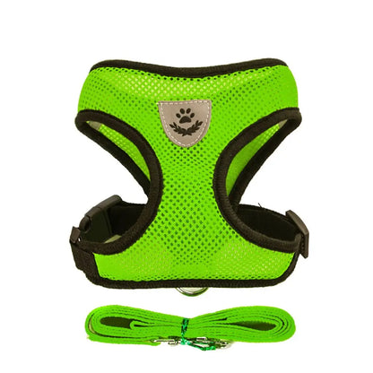 Breathable Mesh Pet Harness & Leash for Comfort & Control