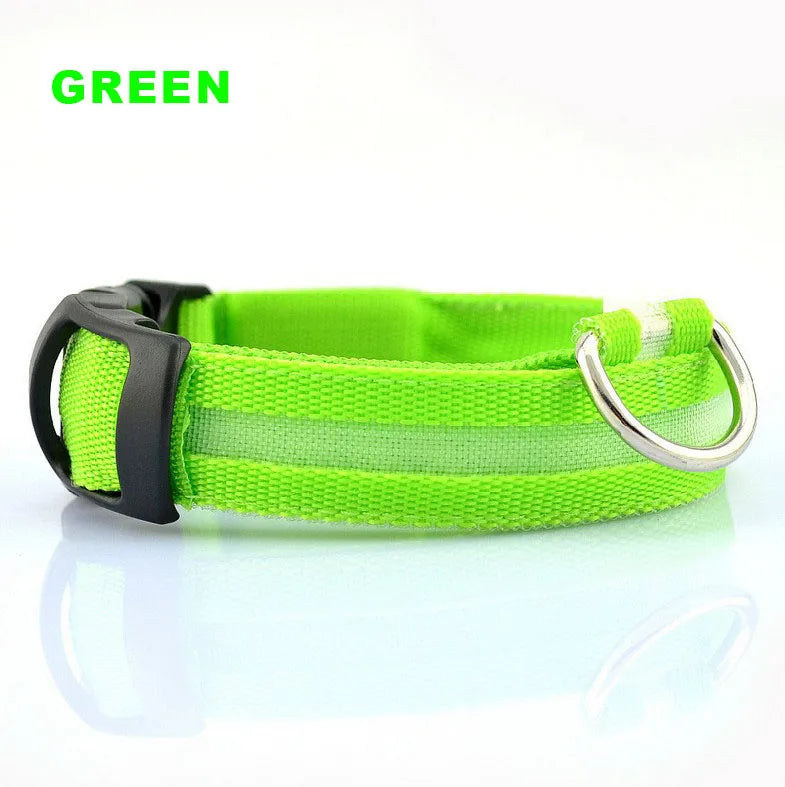 Rechargeable Glow-in-the-Dark Nylon Dog Collar