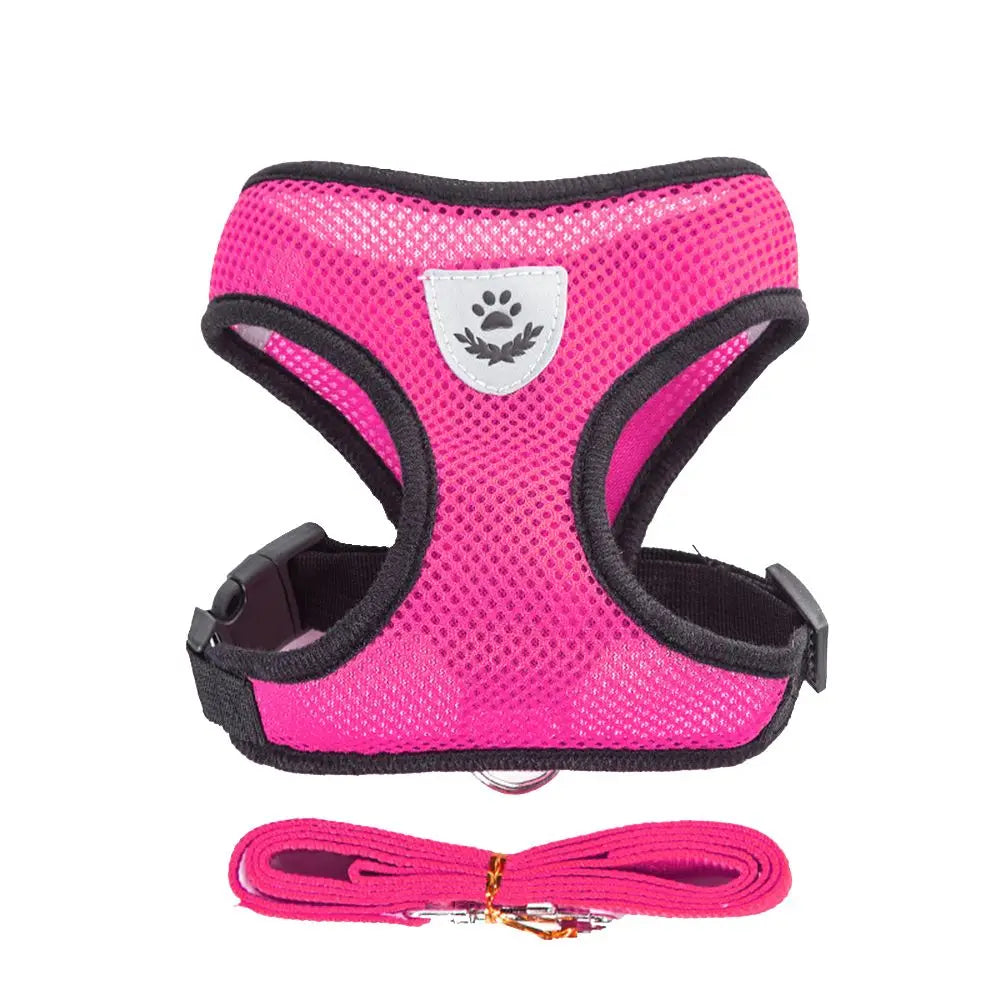 Breathable Mesh Pet Harness & Leash for Comfort & Control