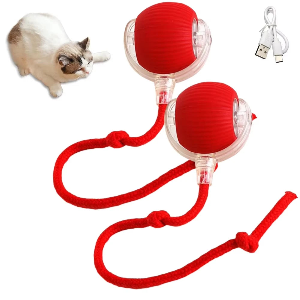 USB Rechargeable Interactive Rolling Ball for Cats