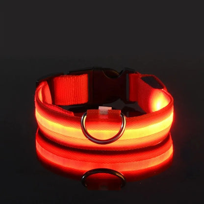 LED Glow-in-the-Dark Dog Leash & Collar for Night Safety