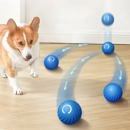 Smart Interactive Dog Toy Ball – USB Rechargeable