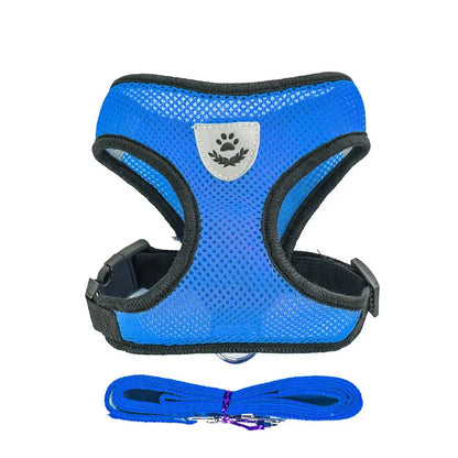 Breathable Mesh Pet Harness & Leash for Comfort & Control