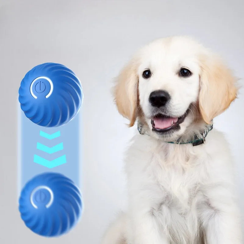 Smart Interactive Dog Toy Ball – USB Rechargeable