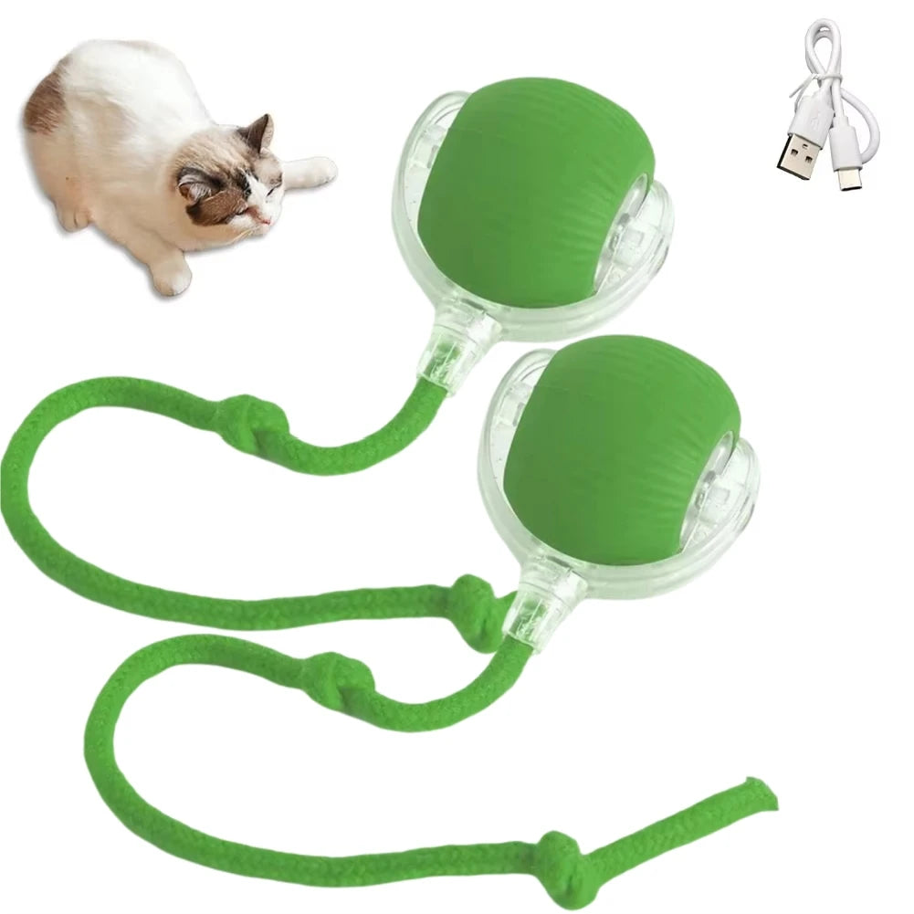 USB Rechargeable Interactive Rolling Ball for Cats