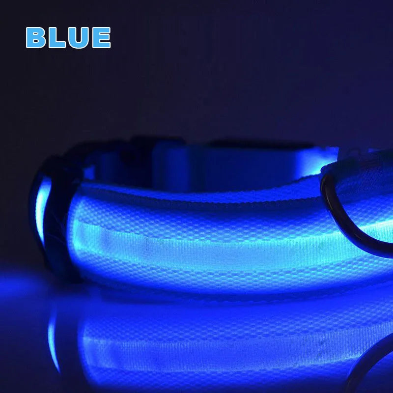 Rechargeable Glow-in-the-Dark Nylon Dog Collar