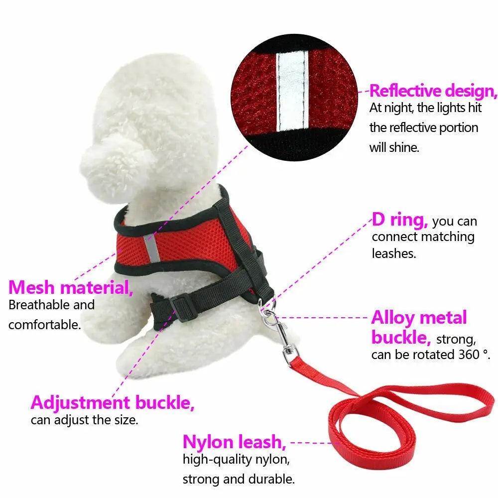 Breathable Mesh Pet Harness & Leash for Comfort & Control