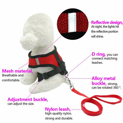 Breathable Mesh Pet Harness & Leash for Comfort & Control