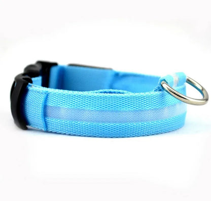 Rechargeable Glow-in-the-Dark Nylon Dog Collar