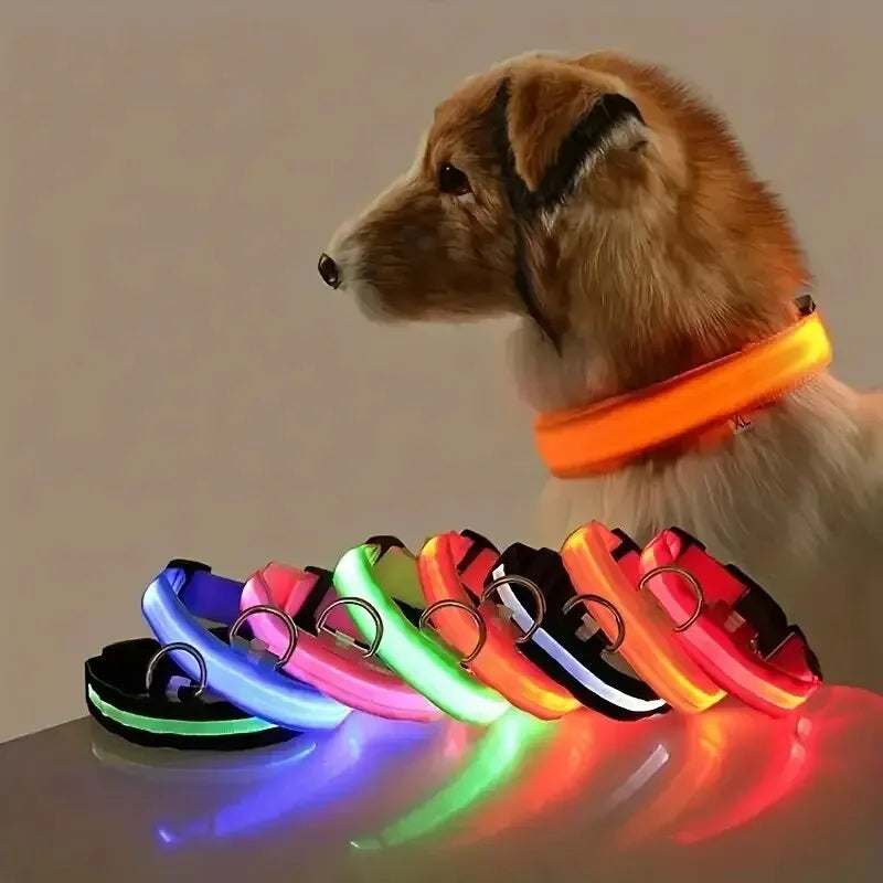 LED Glow-in-the-Dark Dog Leash & Collar for Night Safety