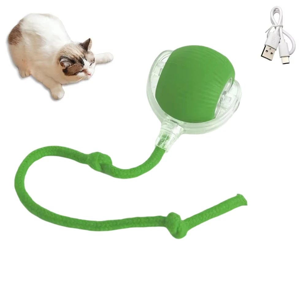 USB Rechargeable Interactive Rolling Ball for Cats