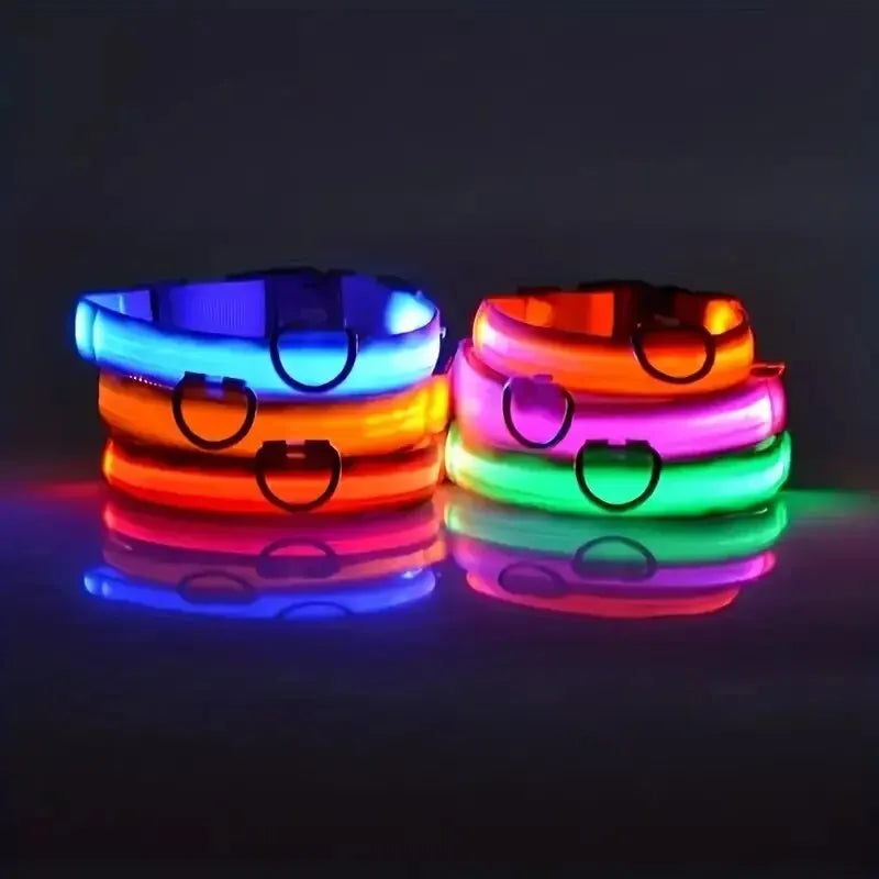 LED Glow-in-the-Dark Dog Leash & Collar for Night Safety