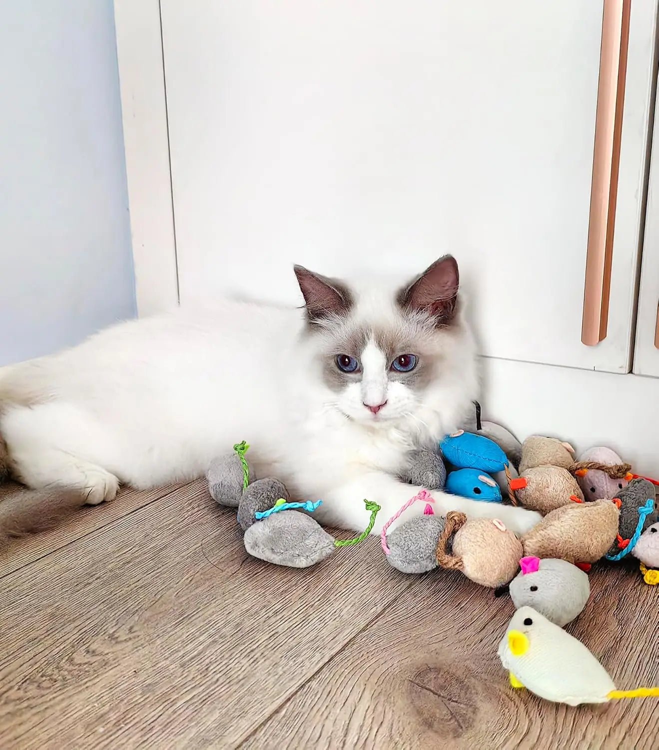Indoor Catnip Plush Mouse Toy - PickXee
