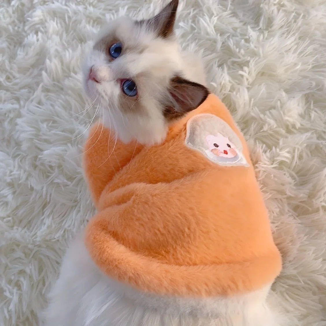 Small Pet Cat Winter Outfit - PickXee