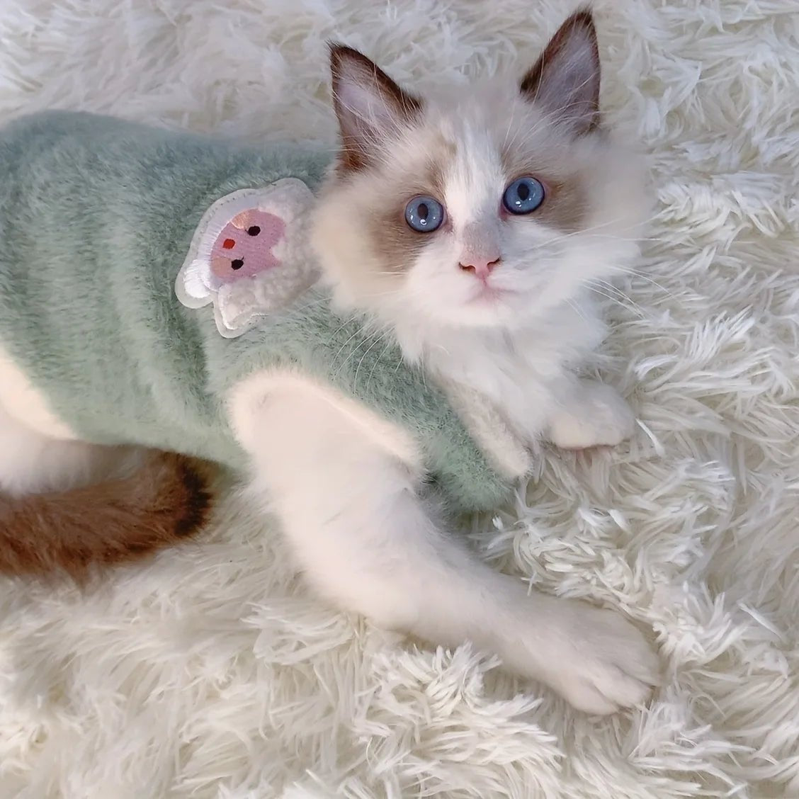Small Pet Cat Winter Outfit - PickXee